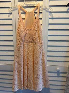 Gianni Bini Blush Lace Mini Dress